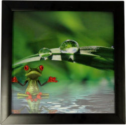 Iconic 3D 30x30cm - Spa Frog framed-hd-3d-iconic-prints