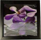 Iconic 3D 30x30cm - Spa Frog framed-hd-3d-iconic-prints