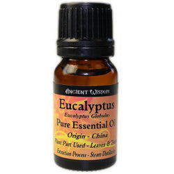 Eucalyptus Essential Oil essential-oils ,top-12-essential-oils ,a-f-essential-oils