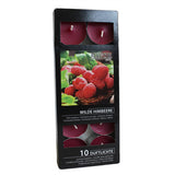 Scented Nightlights - Vanilla  - 10 Per Pack scented-nightlights