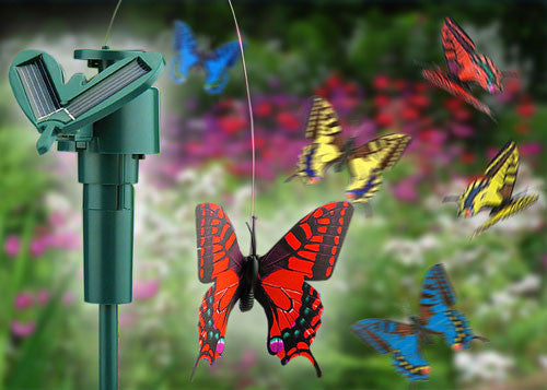 Solar Butterfly (colours may vary) solar-butterflies-birds ,solar-butterflies-birds